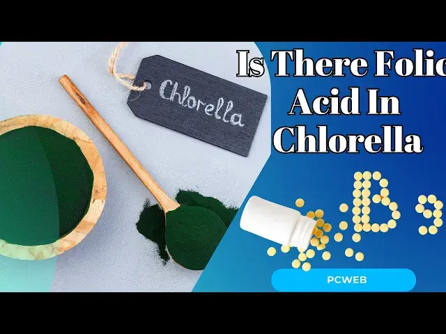 Video thumbnail for Is There Folic Acid in Chlorella: Exploring Nutrient Content There Folic Acid In Chlorella