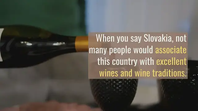 'Video thumbnail for Slovakia Wine Guide'