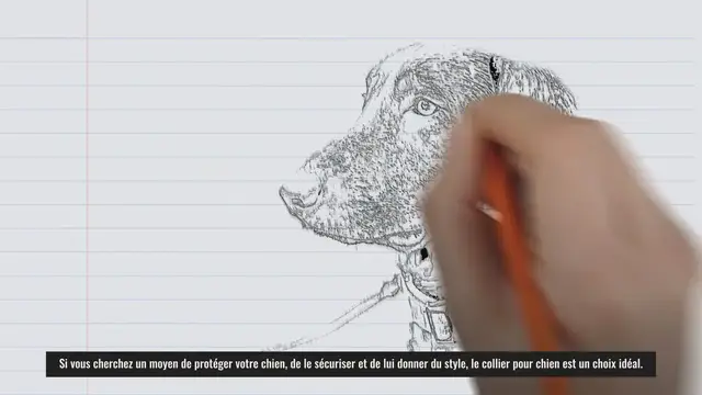 'Video thumbnail for collier chien'