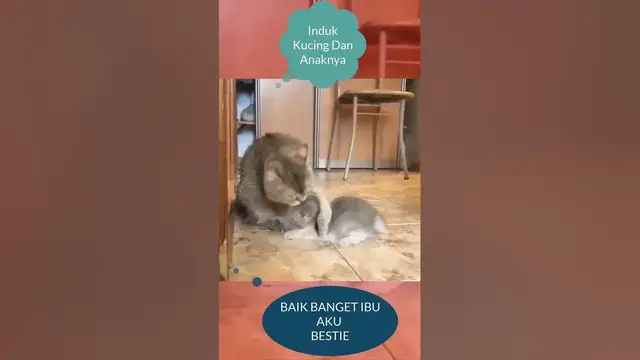 'Video thumbnail for BAIK BANGET IBU AKU BESTIE #shorts'