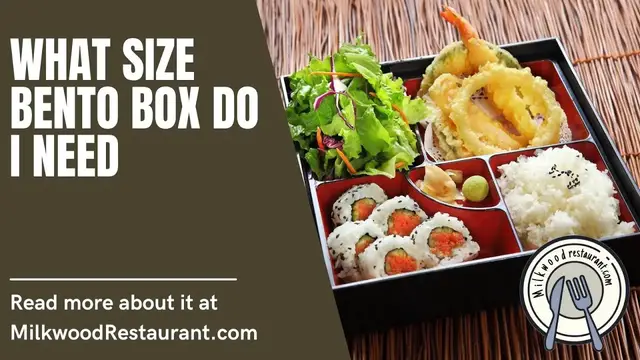 Video thumbnail for What Size Bento Box Do I Need? 5 Fascinating Facts About Bento Box That You Should Know About It