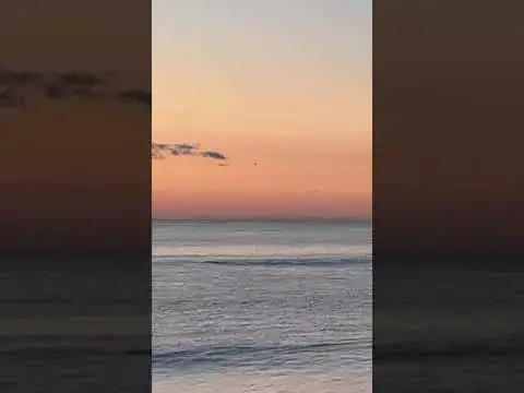 Video thumbnail for Whales off of Bay Head, New Jersey
