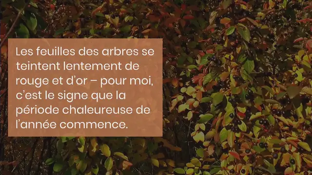 Video thumbnail for Dip de feta à la courge