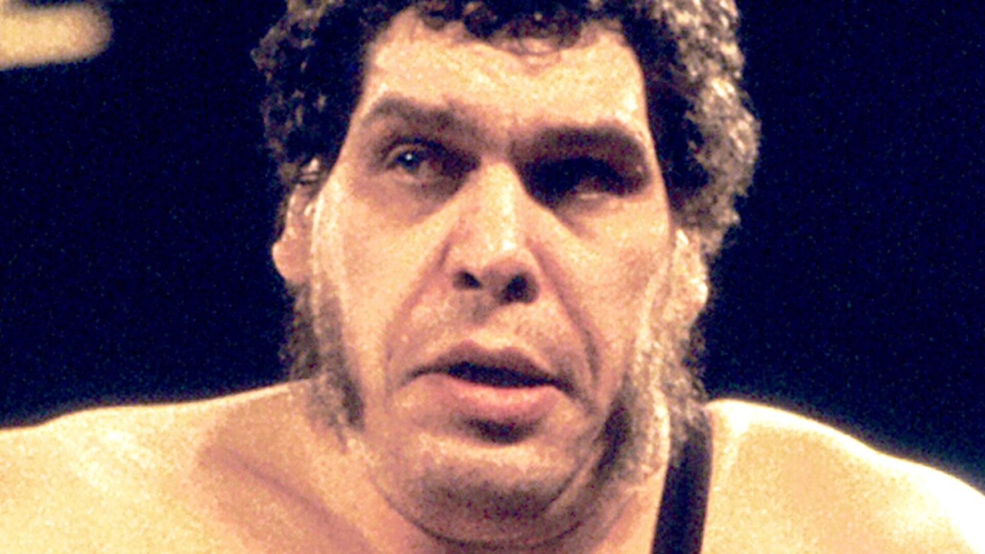 Video thumbnail for The Iconic Rise And Tragic Fall Of Andre The Giant