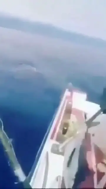 Video thumbnail for How to (not) catch a marlin #fail #shorts #tuna #fishing  #boat #saltwaterfishing