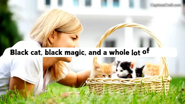 Video thumbnail for Captivating Black Cat Instagram Captions: Engaging Quotes and Sayings for Your Feline Friend's Photos