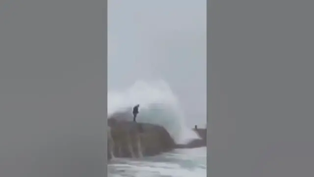 Video thumbnail for How to (not) fish from a pier #fail #shorts #fishing  #boat #saltwaterfishing
