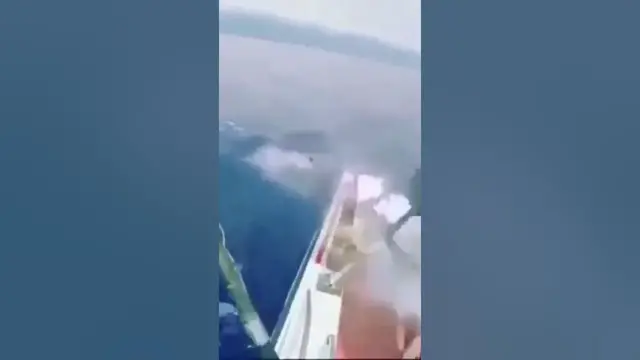 Video thumbnail for How to (not) catch a marlin #fail #shorts #tuna #fishing  #boat #saltwaterfishing