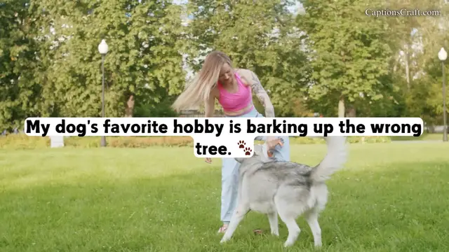 Video thumbnail for Top Dog: Fetching Instagram Captions That Wag Your Followers' Tails!