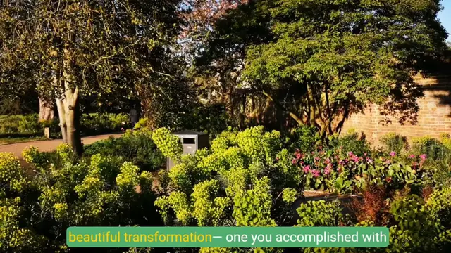 'Video thumbnail for Tansform Your Garden: Creative & Budget-Friendly DIY Landscaping Ideas'