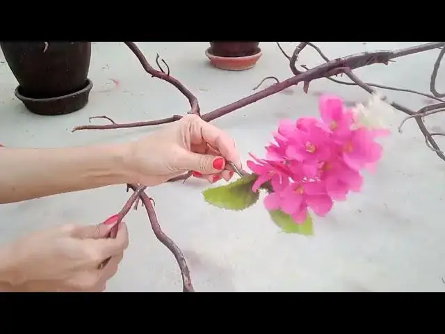 Video thumbnail for tree branch decorate on spring season for room decoration class room decoration on spring day