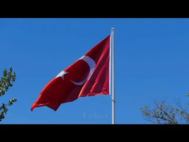 Video thumbnail for Top 10 Turkey Jokes and Puns for Thanksgiving | Funny Turkey Humor Compilation