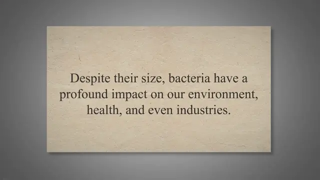 Video thumbnail for The vast world of bacterial species and their roles