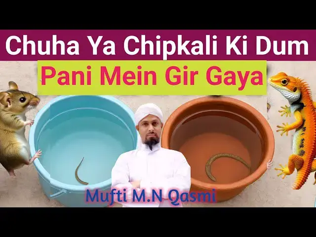 Video thumbnail for Chuha Ya Badi Chhipkali Ki Dum Pani Mein Gir Jaye To Pani Napaak? Islami Hukm