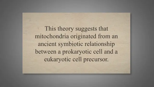 Video thumbnail for Role of endosymbiosis in the origin of mitochondria