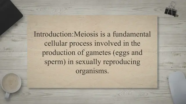 Video thumbnail for The process of meiosis and genetic variation