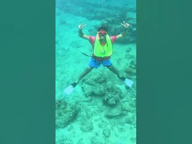 'Video thumbnail for Pickleball getaways at Sandals Royal Curaçao'