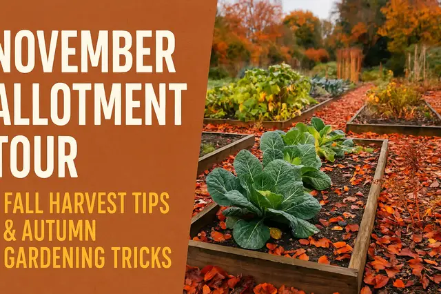 'Video thumbnail for November Allotment Tour | Fall Harvest Tips & Autumn Gardening Tricks'