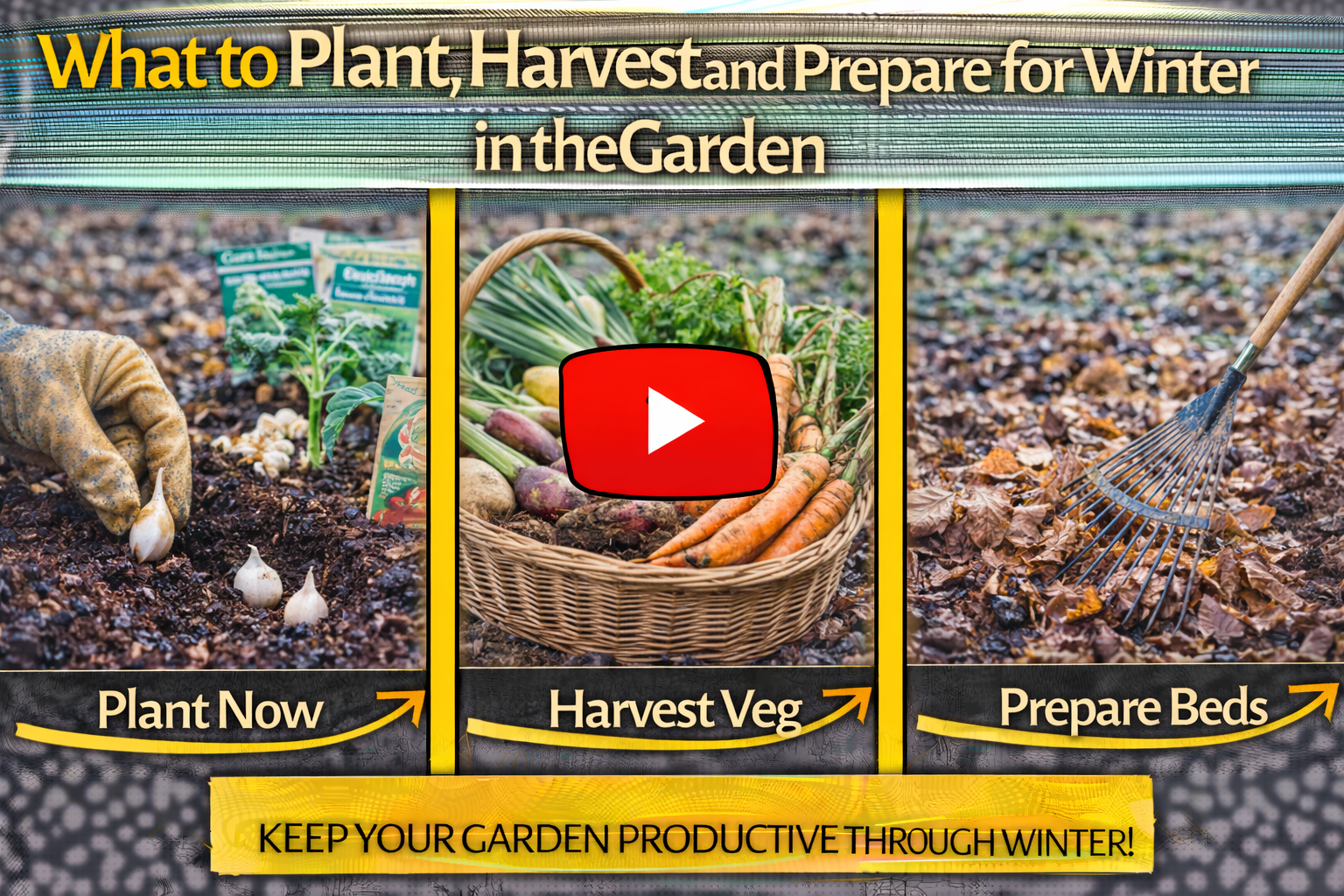 Video thumbnail for What to Plant, Harvest and Prepare for Winter in the Garden