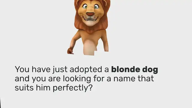 Video thumbnail for More than 100 name ideas for blond and yellow dogs