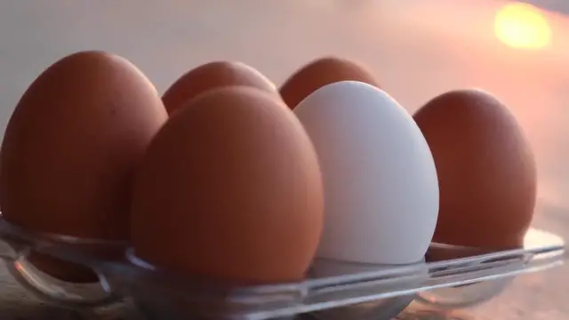 'Video thumbnail for Forget Everything You Thought You Knew About Egg Salad'
