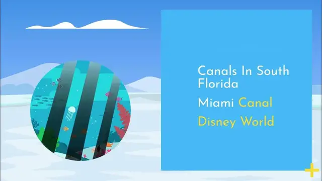 'Video thumbnail for Florida Canal Fishing'
