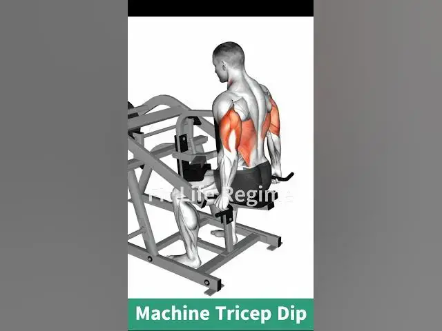 Video thumbnail for Machine Tricep Dip: How To Do