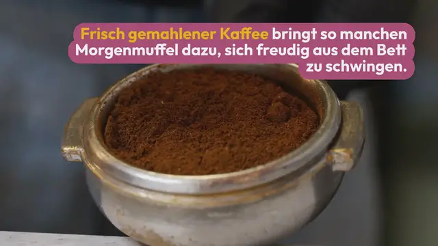 Video thumbnail for Rommelsbacher EKM 200 Test 2024: Einsteiger-Kaffeemühle mit Top-Preis-Leistung