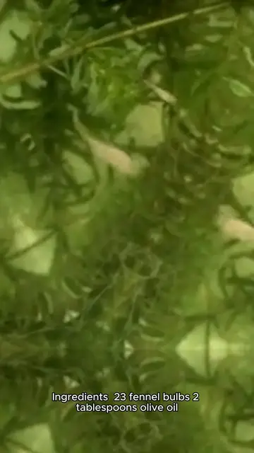 'Video thumbnail for fennel recipe'