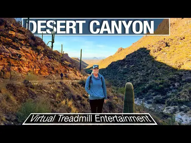 'Video thumbnail for Sabino Canyon Walking Tour - Tucson Area Virtual Treadmill Walk - 4k City Walks'