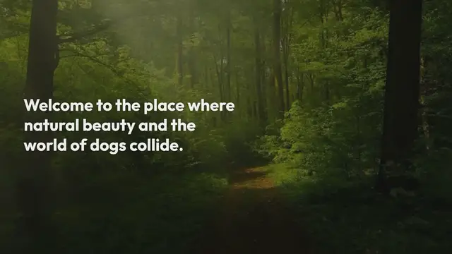 Video thumbnail for 300+ Nature Dog Names for Outdoor Enthusiast Dog Parents