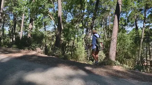 Video thumbnail for Sequoia National Park Where Giants Roam (Highlights the awe-inspiring natural wonders)