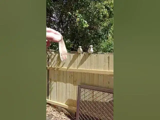 Video thumbnail for ouch