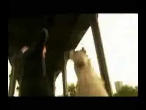 Video thumbnail for chemin