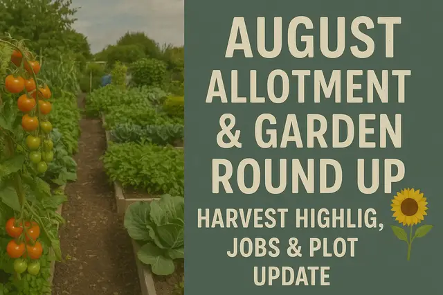 'Video thumbnail for ๐ฟ August Allotment & Garden Round Up | Harvest Highlights, Jobs & Plot Update ๐ป'