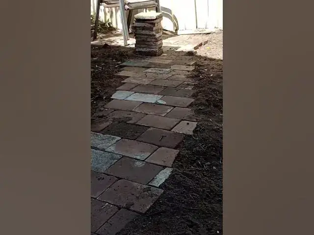 Video thumbnail for 27 October 2025