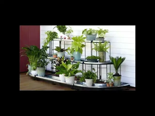 Video thumbnail for Amazing flowers stands gadgets | home decoration flowers | new smart flowers stands | diy  #shorts