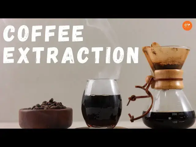 Video thumbnail for Mastering Coffee Brewing: The Extraction Series Begins