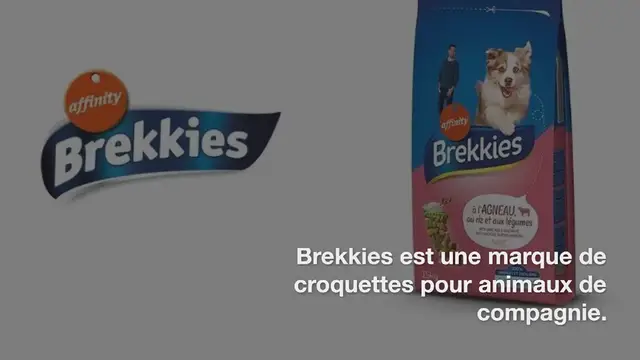 Video thumbnail for Brekkies : tout savoir sur ces croquettes pour chien
