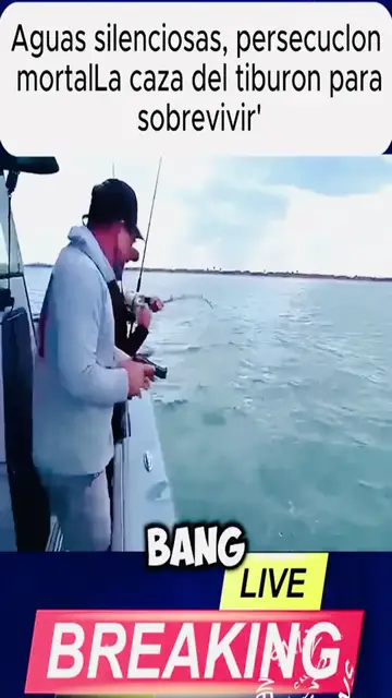 'Video thumbnail for What going on in the sea '