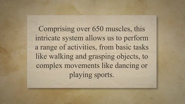 Video thumbnail for Human muscular system and movement coordination