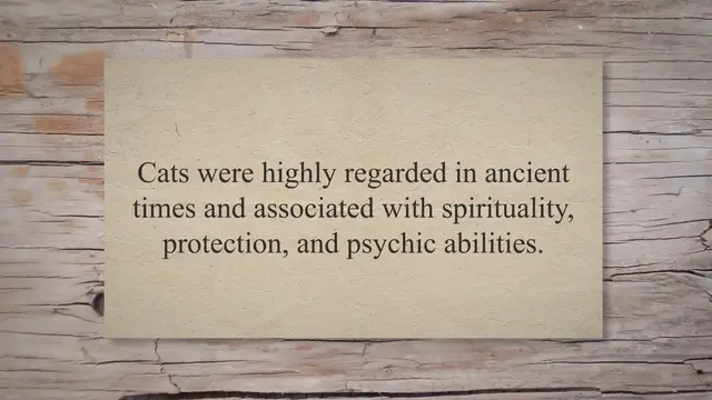 'Video thumbnail for The Spiritual Meaning of a Cat Crossing Your Path'