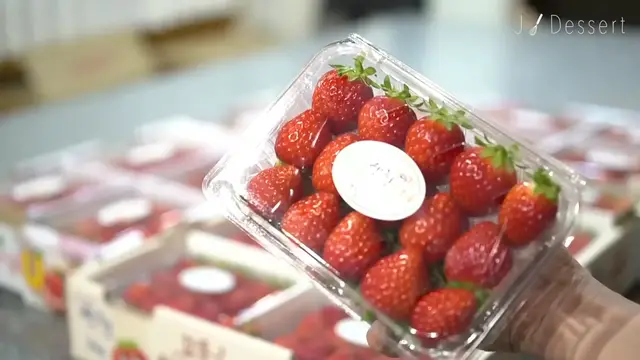 Video thumbnail for 생딸기우유 8년차 카페 레시피 _ 인기만점 새콤달콤 정말 맛있엉  Strawberry milk __ 지니 Jiny(720P_HD)