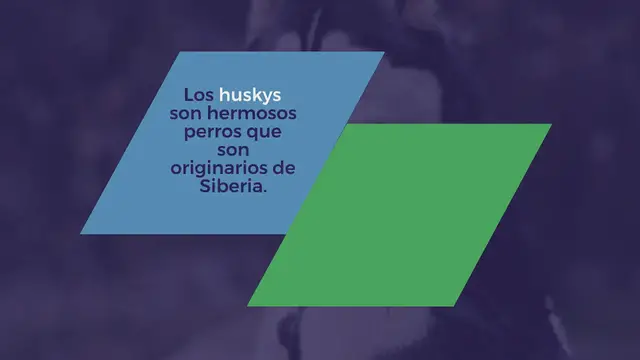 Video thumbnail for 110 nombres para perros Husky machos y hembras