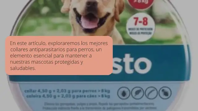 Video thumbnail for Los Mejores Collares Antiparasitarios Para Perros en 2024