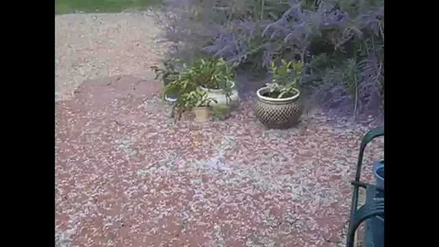 Video thumbnail for Colorado Hailstorm