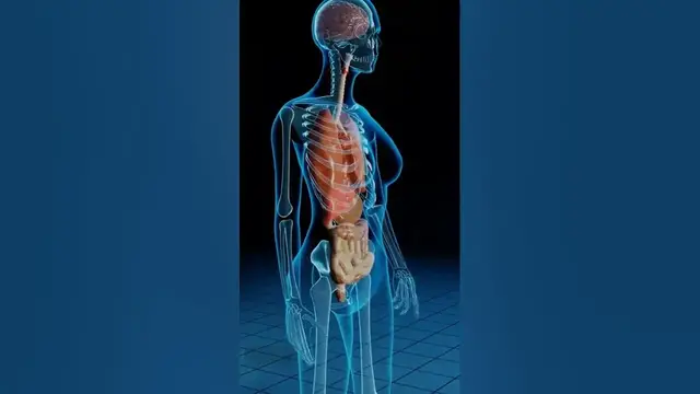 Video thumbnail for Osmanthus Tea, Superb 5 Benefits of This Drink