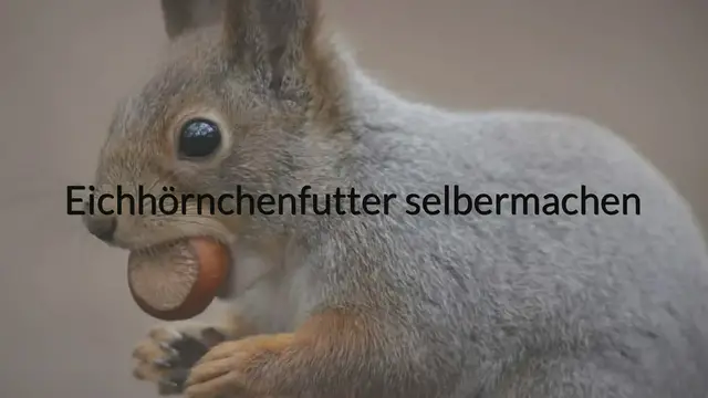 'Video thumbnail for Eichörnchenfutter selber machen'