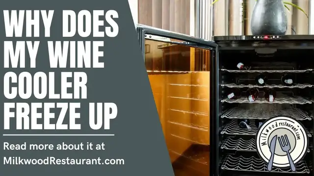 Video thumbnail for 6 Superb Reasons Why Does My Wine Cooler Freeze Up