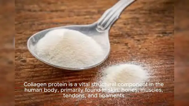 Video thumbnail for Collagen Protein, Animal-Based Protein Powders